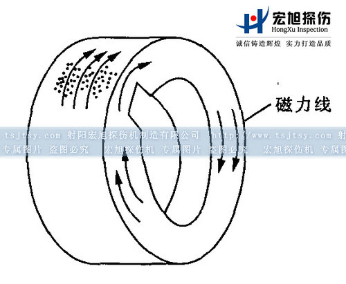 快猫回家网站的入口